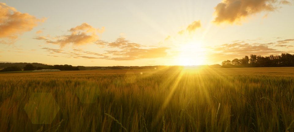 Welcome to the new hoosierhills.com!